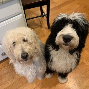 Meet your Posher, Julie